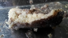 20190419_133111.jpg